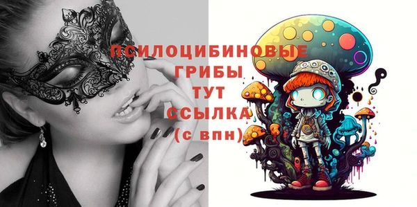 круглые Абаза