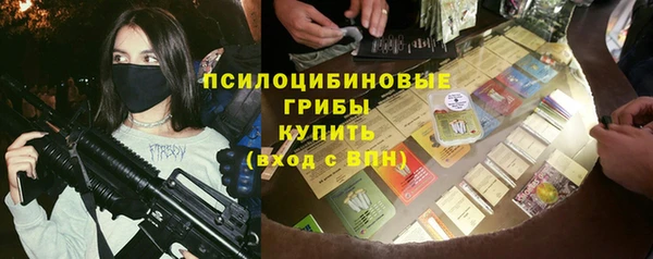 МДПВ Алексеевка